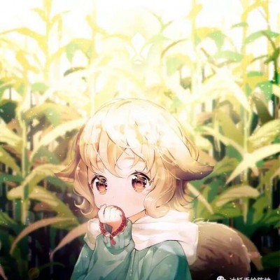 伊朗晒突击队员坐快艇截停货船视频
